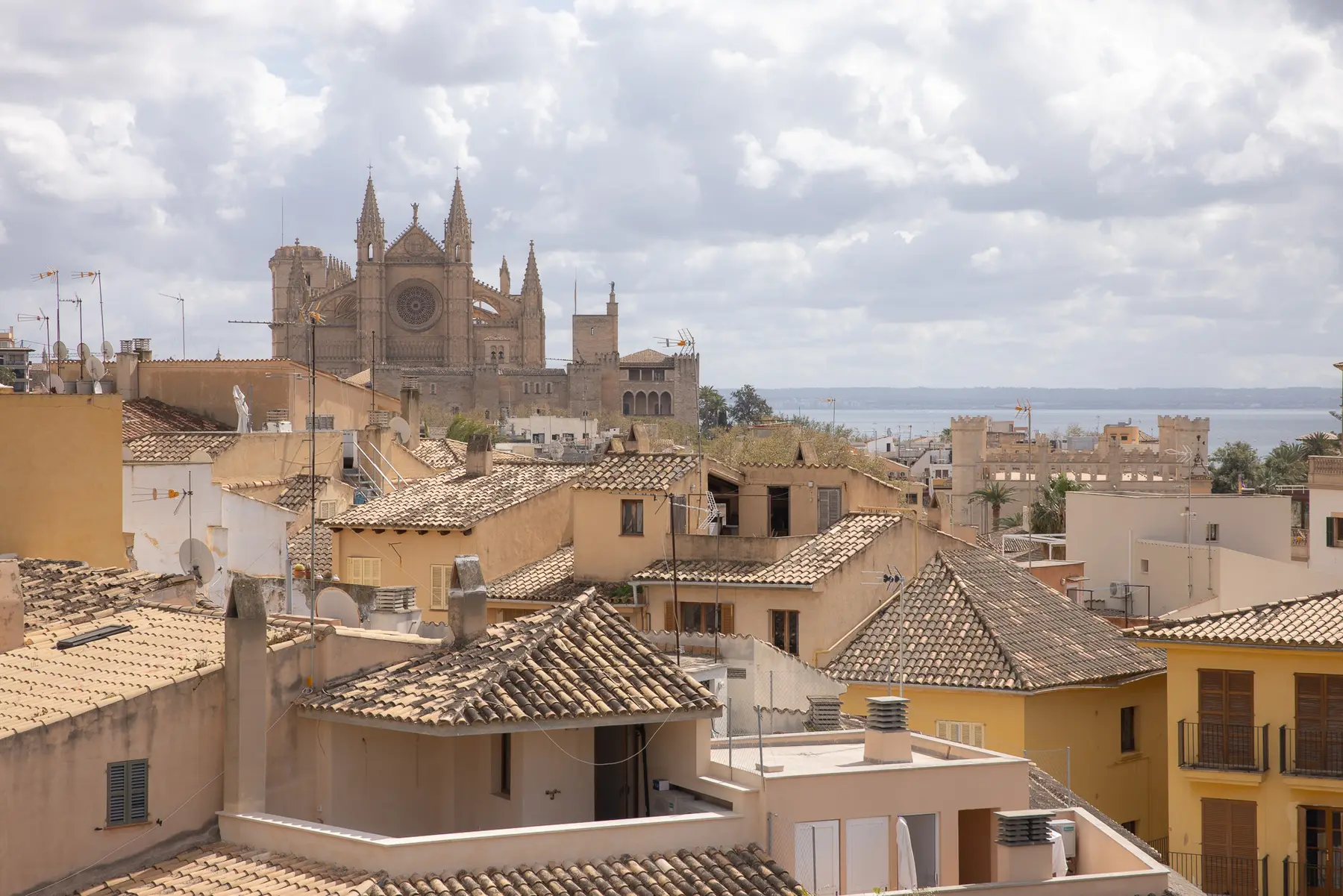 Palma