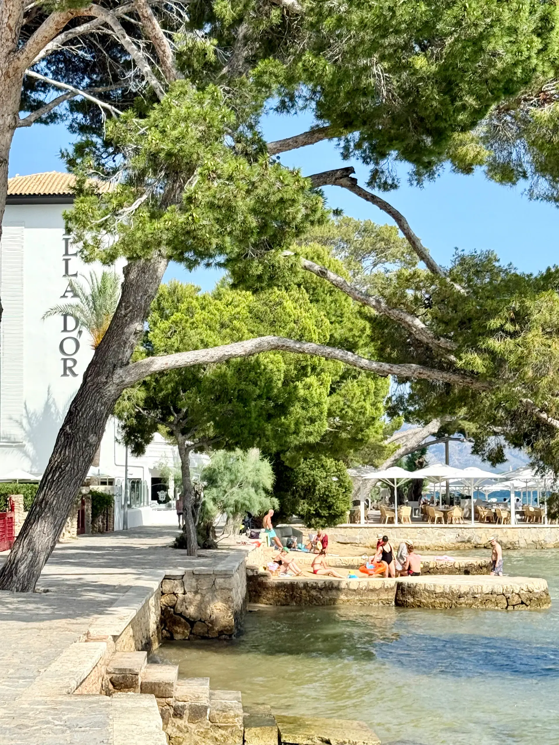 Puerto Pollensa